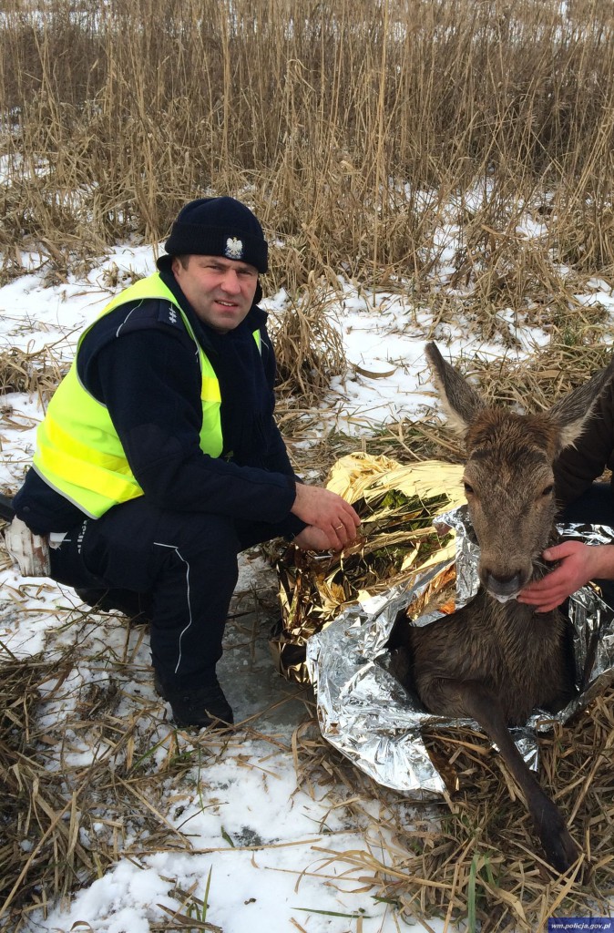 policja jelenie woda akcja ratownicza zima 3