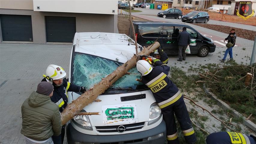 To się nazywa pech. Drzewo powalone przez wiatr uszkodziło samochód [FOTO] drzewo Olsztyn, Wiadomości